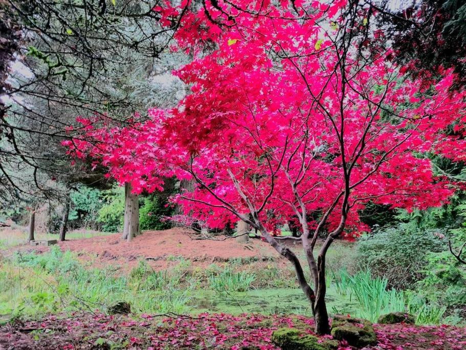 Beautiful Cottage In Brentwood Kelvedon Hatch エクステリア 写真