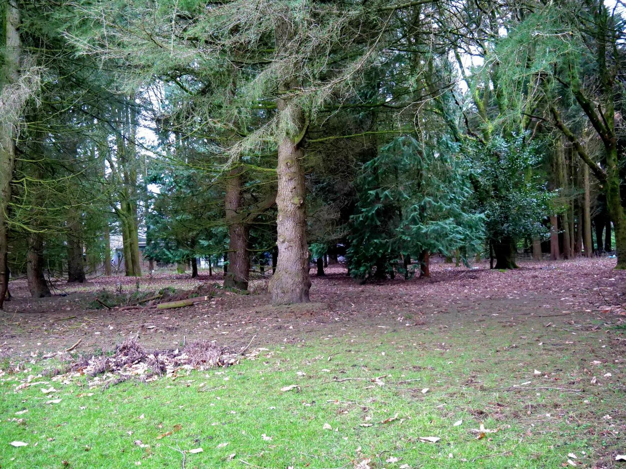 Beautiful Cottage In Brentwood Kelvedon Hatch エクステリア 写真